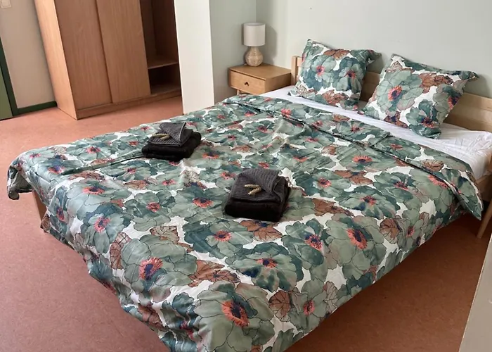 Maidla Hostel Maidla (Ida-Viru)